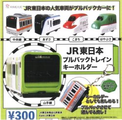 画像1: JR東日本プルバック　トレインキーホルダー（１月）【▼３００円カプセルトイ　４０個入り　ビーム】＋正規台紙