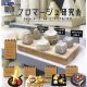 フロマージュ研究会（１月）【▼５００円カプセルトイ　２０個入り　レインボー】＋正規台紙