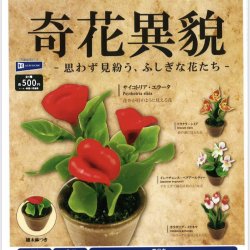 画像1: 奇花異貌 -思わず見紛う、ふしぎな花たち-（１月）【▼５００円カプセルトイ　２０個入り　レインボー】＋正規台紙
