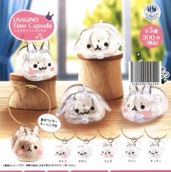 画像1: うさぎのタイムカプセル（１月）【▼３００円カプセルトイ　５０個入り　ビーム】＋正規台紙