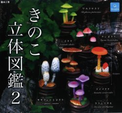 画像1: きのこ立体図鑑2 (再販) （１月）【▼４００円カプセルトイ　３０個入り　クオリア】＋正規台紙