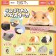 がんばりやん！ハムスター！！（３月）【▼４００円カプセルトイ　３０個入り　ベネリック】＋正規台紙