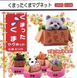 画像1: くまったくまマグネット（２月）【○２００円カプセル　１カートン４００個入り　榎並産業】