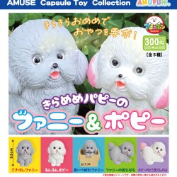 画像1: きらめめパピーのファニー＆ポピー（２月）【○３００円カプセル　４０個入り　アミューズ】＋正規台紙