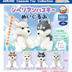 画像1: シベリアンハスキーぬいぐるみ（３月）【○５００円カプセル　２０個入り　アミューズ】＋正規台紙