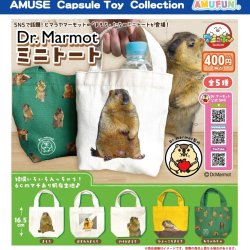 画像1: Dr.マーモットミニトート（２月）【○４００円カプセル　３０個入り　アミューズ】＋正規台紙