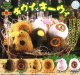 キウイとキーウィ（２月）【○４００円カプセル　３０個入り　マルカ】＋正規台紙
