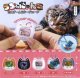 うちのにゃんこ育成ゲーム風キーチェーン（２月）【○３００円カプセル　４０個入り　funbox】＋正規台紙