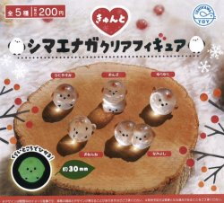 画像1: きゅんとシマエナガクリアフィギュア（２月）【○２００円カプセル　４０個入り　石川玩具】＋正規台紙