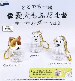 画像1: どこでも一緒　愛犬もふだまキーホルダーｖｏｌ．２（２月）【○３００円カプセル　４０個入り　レインボー】＋正規台紙