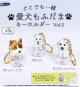 どこでも一緒　愛犬もふだまキーホルダーｖｏｌ．２（２月）【○３００円カプセル　４０個入り　レインボー】＋正規台紙