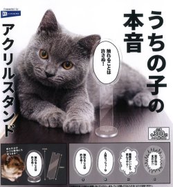 画像1: うちの子の本音アクリルスタンド（２月）【○３００円カプセル　４０個入り　レインボー】＋正規台紙