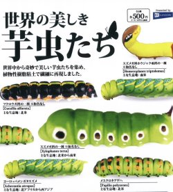 画像1: 世界の美しき芋虫たち（２月）【○５００円カプセル　２０個入り　レインボー】＋正規台紙