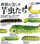 世界の美しき芋虫たち（２月）【○５００円カプセル　２０個入り　レインボー】＋正規台紙