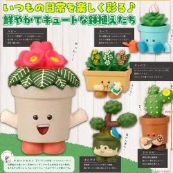 画像1: タカハシカオリ　すくすくプランターズ！（３月）【○４００円カプセル　３０個入り　奇譚クラブ】＋正規台紙