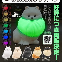 画像1: 光る首輪をつけた　おさんぽポメライト（再販）（２月）【○５００円カプセル　２０個入り　奇譚クラブ】＋正規台紙