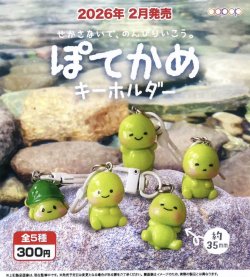 画像1: ぽてかめキーホルダー（２月）【○３００円カプセル　４０個入り　アオポップ】＋正規台紙