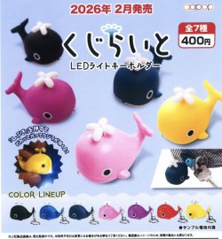 画像1: くじらいと　LEDライトキーホルダー（２月）【○４００円カプセル　３０個入り　アオポップ】＋正規台紙
