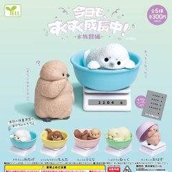 画像1: 今日も、すくすく成長中！-水族館編-（２月）【○３００円カプセル　４０個入り　エール】＋正規台紙