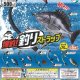 爆釣！釣りストラップ（再販）（３月）【○５００円カプセル　２０個入り　ターリン】＋正規台紙