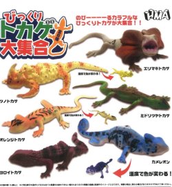画像1: びっくりトカゲ大集合（２月）【○３００円カプセル　４０個入り　ＨＭＡ】＋正規台紙