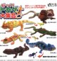 びっくりトカゲ大集合（２月）【○３００円カプセル　４０個入り　ＨＭＡ】＋正規台紙
