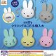 ミッフィー　シリコンFACE小物入れ（再販）（４月）【●４００円カプセル　３０個入り　IP4】＋正規台紙