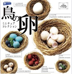 画像1: 鳥の卵　ミニチュアコレクション（３月）【●４００円カプセル　３０個入り　レインボー】＋正規台紙