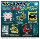 サンショウウオとイモリのカラビナ（３月）【●４００円カプセル　３０個入り　Ｄｉｓ】＋正規台紙