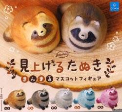 画像1: 見上げるたぬき まんまるマスコットフィギュア（４月）【●４００円カプセル　３０個入り　クオリア】＋正規台紙