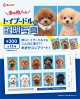 トイプードルの証明写真（１月）【●３００円カプセル　１カートン２００個入り　奇人クラブ】