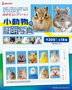 画像1: 小動物の証明写真（１月）【●３００円カプセル　１カートン２００個入り　奇人クラブ】