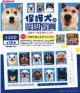 保護犬の証明写真（１月）【●３００円カプセル　１カートン２００個入り　奇人クラブ】