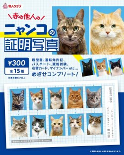 画像1: ニャンコの証明写真（第一弾）（１月）【●３００円カプセル　１カートン２００個入り　奇人クラブ】