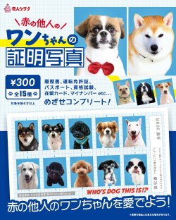 画像1: ワンちゃんの証明写真（１月）【●３００円カプセル　１カートン２００個入り　奇人クラブ】