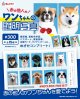 ワンちゃんの証明写真（１月）【●３００円カプセル　１カートン２００個入り　奇人クラブ】