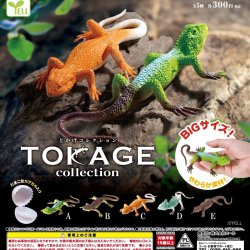 画像1: とかげコレクション（４月）【☆３００円カプセル　４０個入り　エール】＋正規台紙