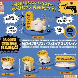 画像1: 絶対に死なないハムスター 絶対に死なないフィギュアコレクション（再販）（４月）【☆３００円カプセル　４０個入り　S・ストーンズ】＋正規台紙
