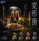 変形菌 in ガラスドーム（４月）【☆５００円カプセル　２０個入り　レインボー】＋正規台紙