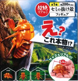 画像1: セミの抜け殻フィギュア（４月）【☆２００円カプセル　５０個入り　ビーム】＋正規台紙