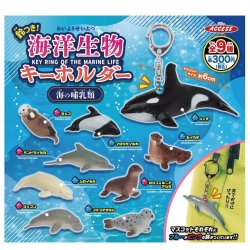 画像1: 鈴つき！海洋生物キーホルダー　海の哺乳類（４月）【☆３００円カプセル　４０個入り　アクセス】＋正規台紙