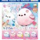 ふくふくシマちゃんほんわりポーチフラワー（５月）【★４００円カプセル　３０個入り　アミューズ】＋正規台紙