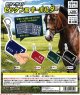 自分で作る！ゼッケン風キーホルダー（５月）【★４００円カプセル　３０個入り　吉岡工業社】＋正規台紙１枚