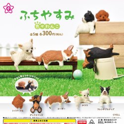 画像1: ふちやすみ 色々わんこ（５月）【★３００円カプセル　４０個入り　エール】＋正規台紙