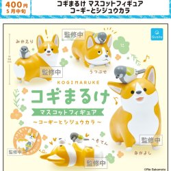 画像1: コギまるけ マスコットフィギュア コーギーとシジュウカラ（５月）【★４００円カプセル　３０個入り　クオリア】＋正規台紙