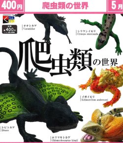 画像1: 爬虫類の世界（５月）【★４００円カプセル　３０個入り　くりんぼう】＋正規台紙