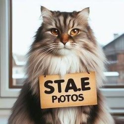 画像1: 夏目友人帳　すってんころりんフィギュア（６月）【★４００円カプセル　３０個入り　タカラトミー】＋正規台紙