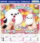 ふくふくシマちゃんましゅまろマスコットからふる2（６月）【◇３００円カプセル　４０個入り　アミューズ】＋正規台紙