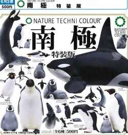 画像1: NTC 南極 特装版（再販）（６月）【◇５００円カプセル　２０個入り　いきもん】＋正規台紙
