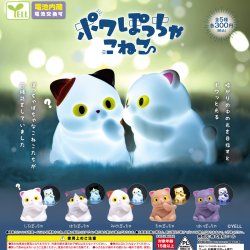 画像1: ポワぽっちゃこねこ（６月）【◇３００円カプセル　４０個入り　エール】＋正規台紙